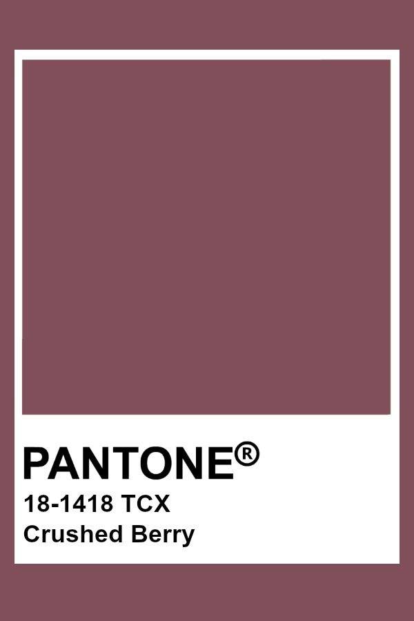 Color option 2