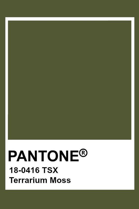 Color option 4